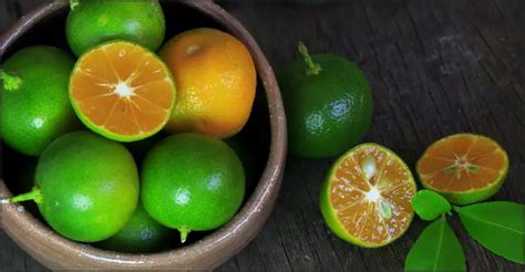 citrus in tagalog|citrus in Tagalog .